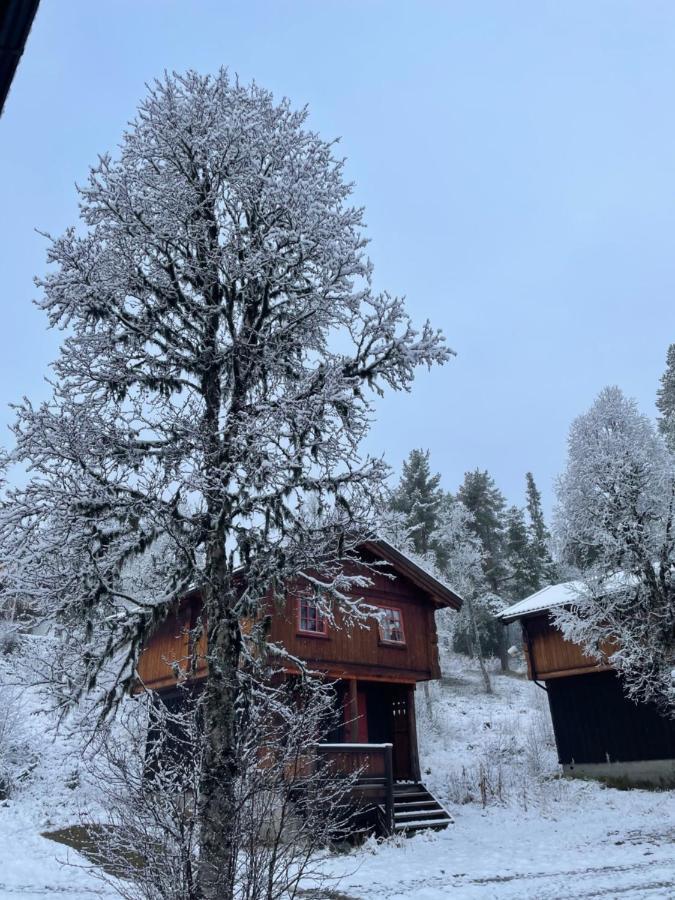 Masaplassen Friisvegen Mountain Lodge رينغيبو المظهر الخارجي الصورة