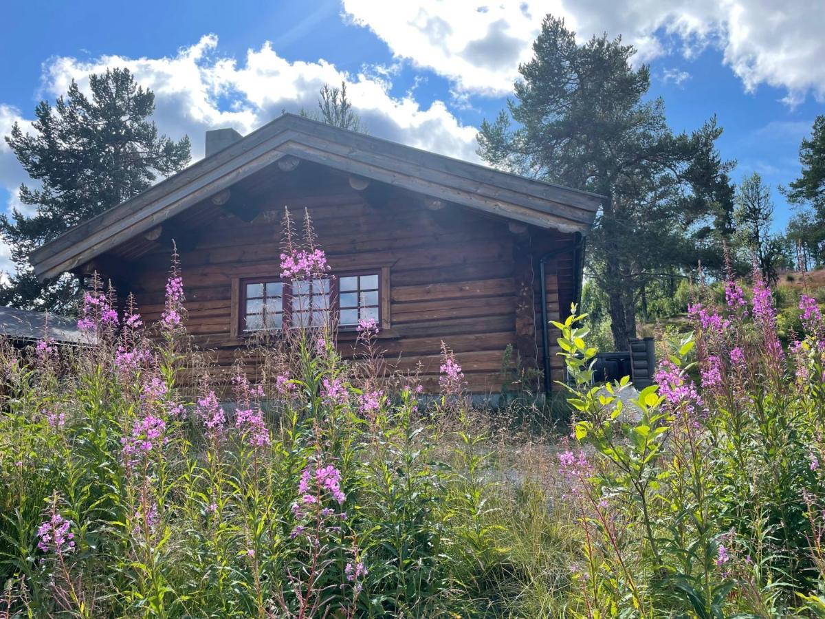 Masaplassen Friisvegen Mountain Lodge رينغيبو المظهر الخارجي الصورة