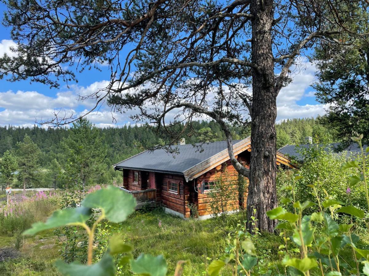 Masaplassen Friisvegen Mountain Lodge رينغيبو المظهر الخارجي الصورة