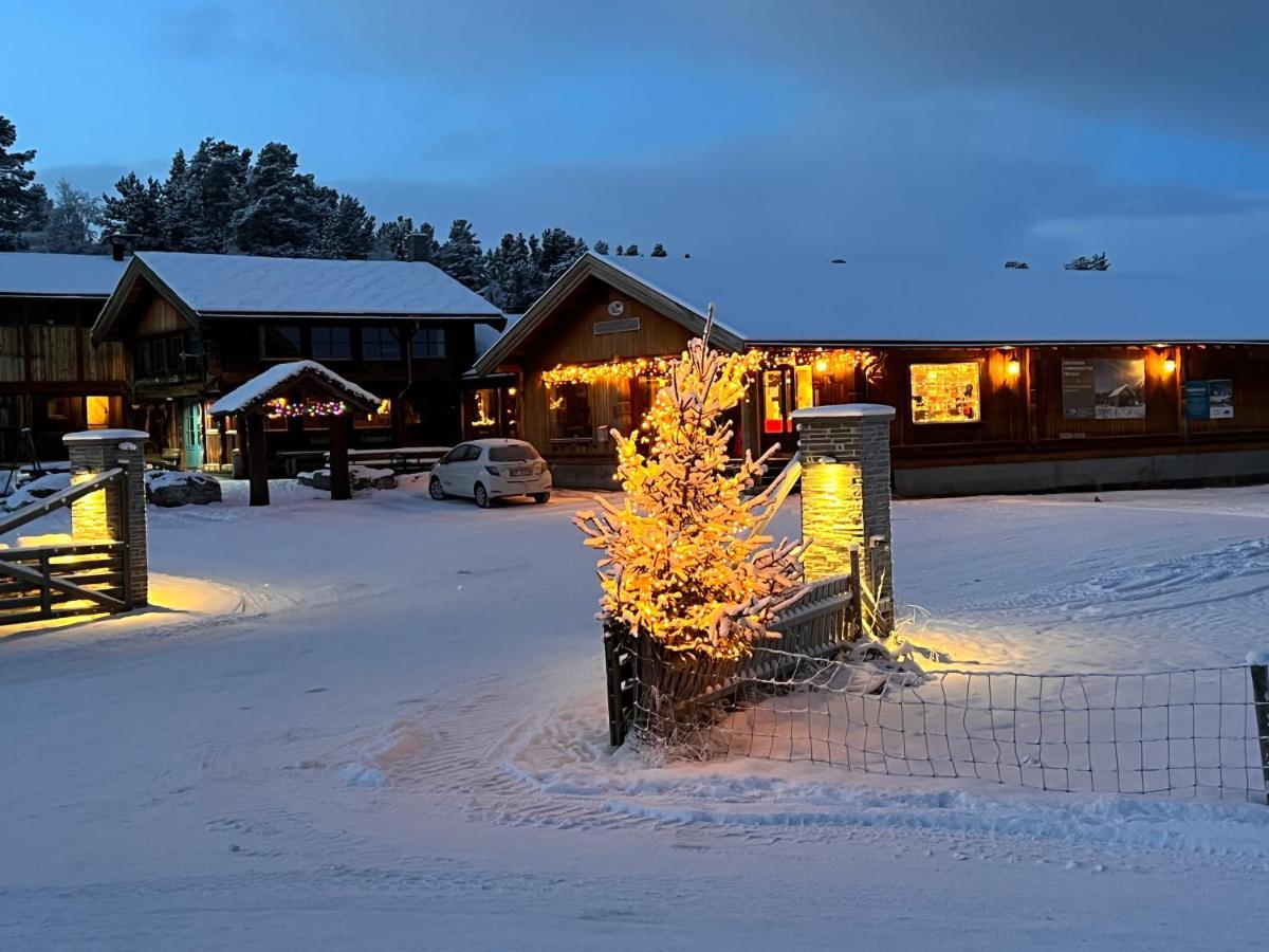 Masaplassen Friisvegen Mountain Lodge رينغيبو المظهر الخارجي الصورة