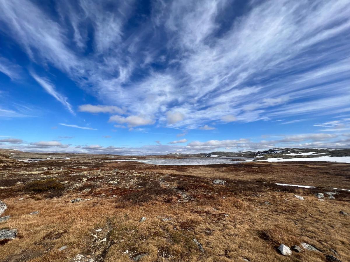 Masaplassen Friisvegen Mountain Lodge رينغيبو المظهر الخارجي الصورة