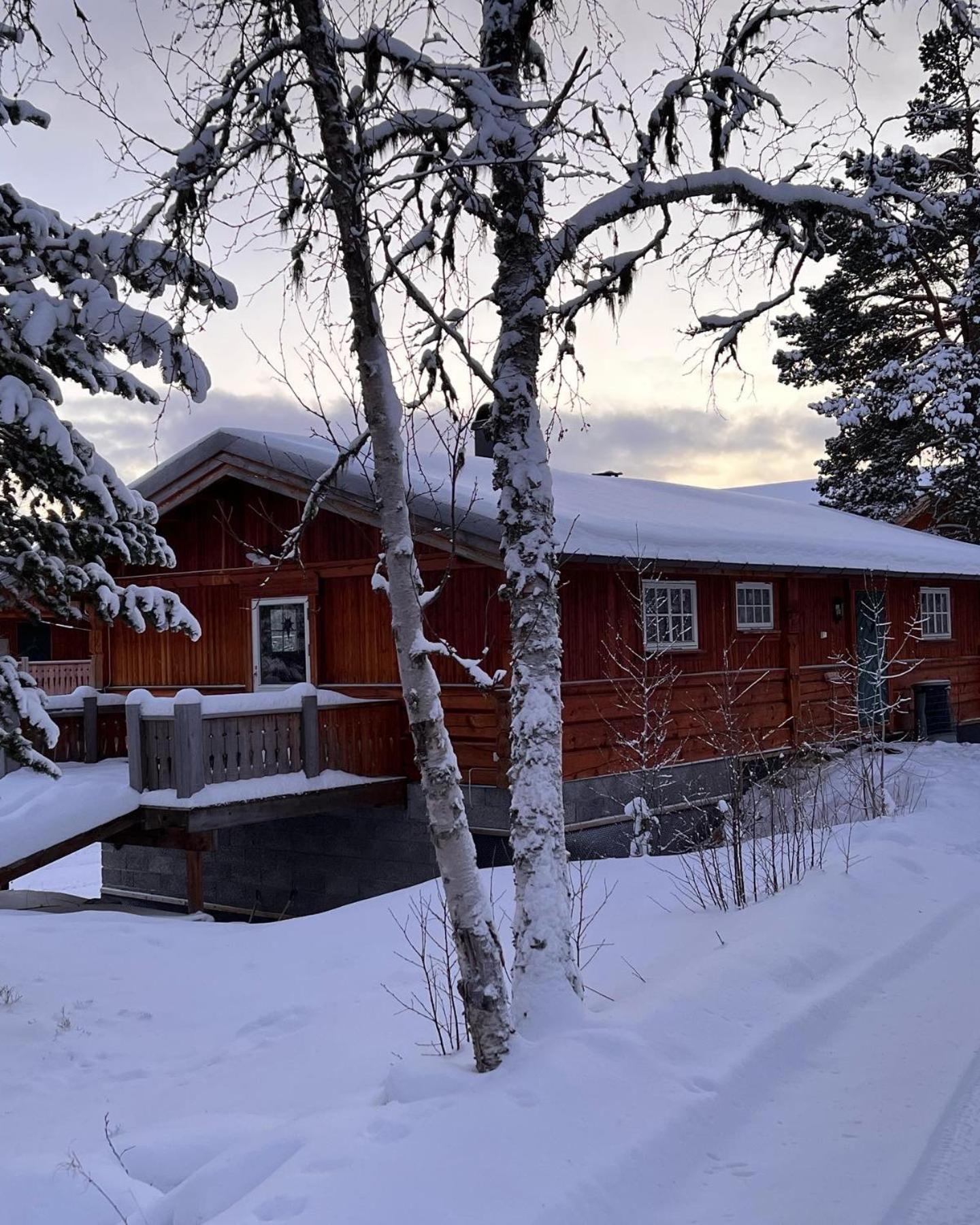 Masaplassen Friisvegen Mountain Lodge رينغيبو المظهر الخارجي الصورة