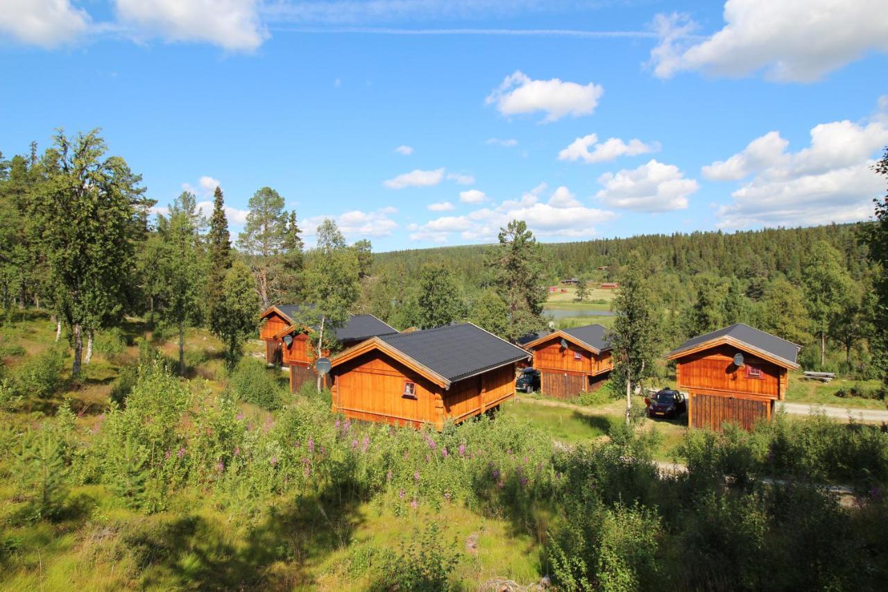 Masaplassen Friisvegen Mountain Lodge رينغيبو المظهر الخارجي الصورة