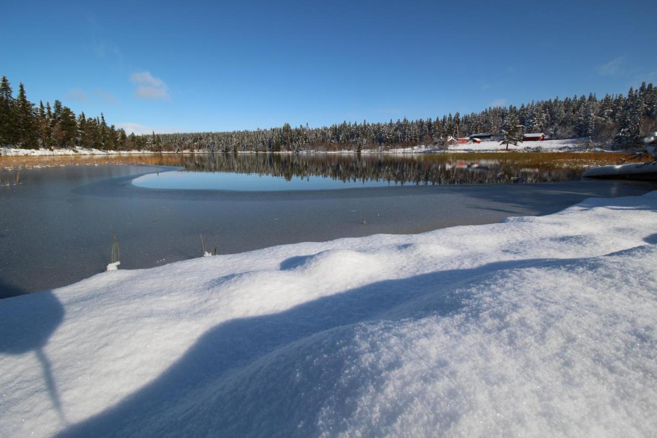 Masaplassen Friisvegen Mountain Lodge رينغيبو المظهر الخارجي الصورة